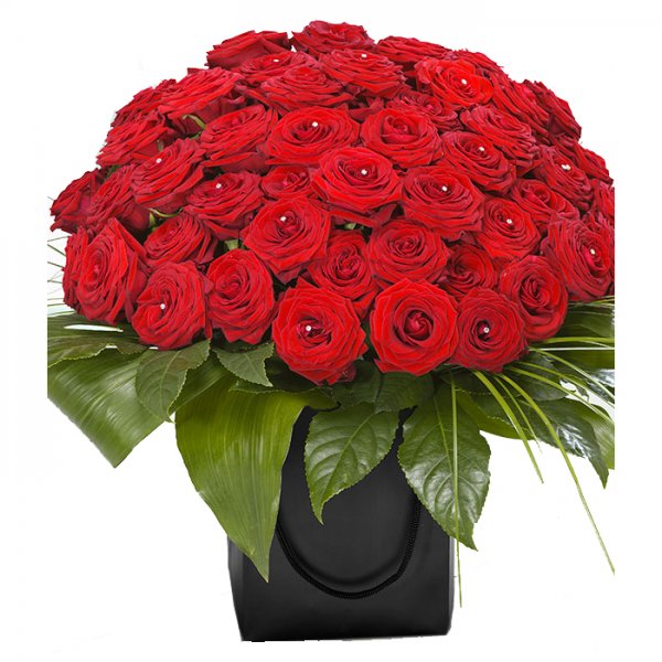 Red Roses 50